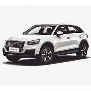 Car Mats Audi Q2 (2016-…)