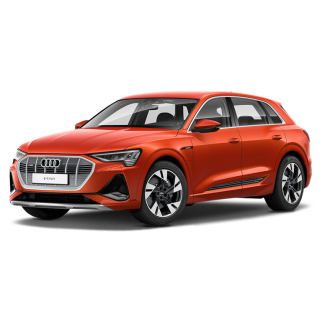 Car Mats Audi e-tron  (2018-…)