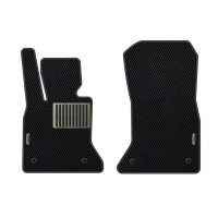 Car Mats BMW F10 5-Series (2010-2013)