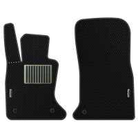 Car Mats BMW F10 5-Series 528xi (2013-2017)