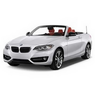 Car Mats BMW F22 2-Series (2013-…)