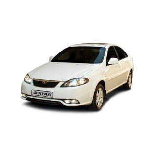 Car Mats Daewoo Gentra (2013-…)