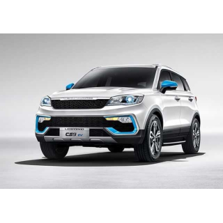 Car Mats Leopaard CS9EV (2017-…)