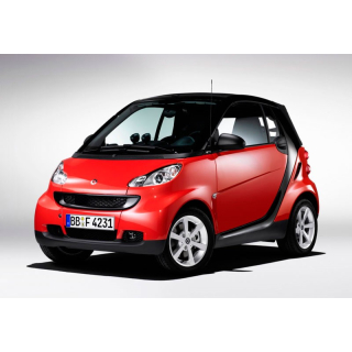 Car Mats Mercedes-Benz SMART Fortwo (2007-2014)