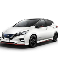 Car Mats Nissan Leaf (2017-…)