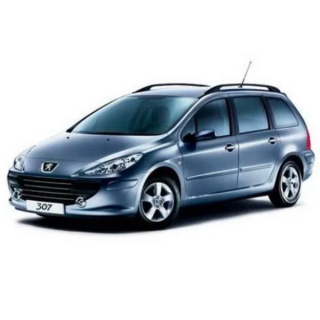 Car Mats Peugeot 307 SW (2002-2008)