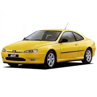 Car Mats Peugeot 406 (1997-2001)