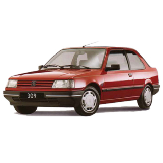 Car Mats Peugeot 309 (1985-1989)