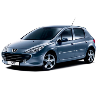 Car Mats Peugeot 307 (2001-2005)