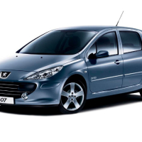 Car Mats Peugeot 307 (2001-2005)