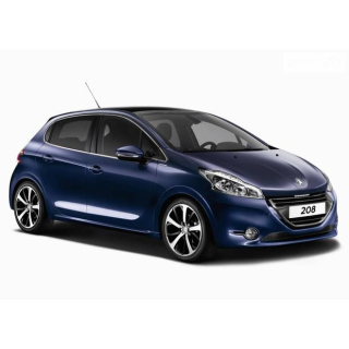 Car Mats Peugeot 208 (2012-2015)