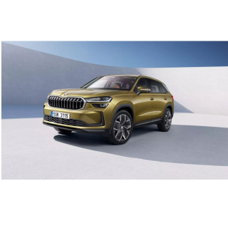 Car Mats Skoda Kodiaq MQB (2024-...)