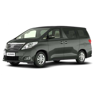 Car Mats Toyota Alphard (2002-2008)